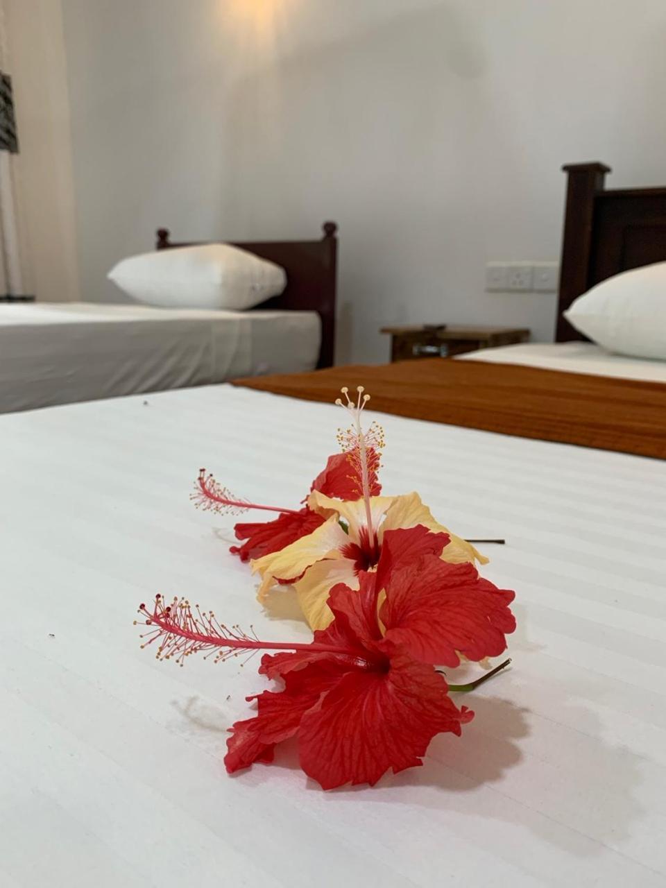 Manju Homestay Sigiriya Eksteriør bilde